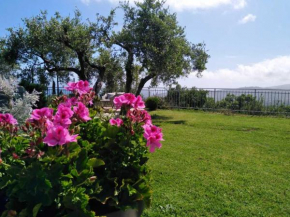 Casa Vista Mare - Superb garden and parking includ